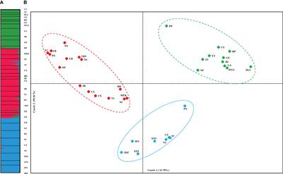 Exploring the genetic diversity and population structure of Ailanthus altissima using chloroplast and nuclear microsatellite DNA markers across its native range